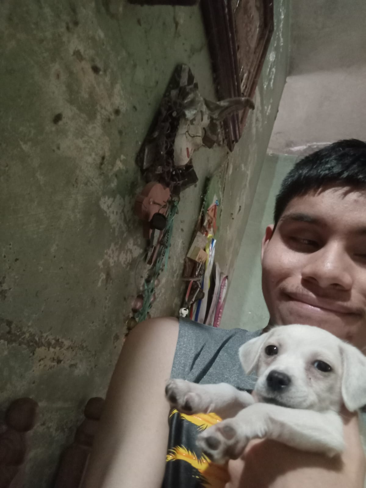 Un joven sonriente sostiene a una perrita pequeña y blanca en sus brazos. La cachorra tiene una expresión curiosa: sus ojos están bien abiertos y observa hacia el frente, mostrando interés y atención por el entorno. Sus orejas caídas y el cuerpo relajado indican que se siente cómoda y tranquila. Al fondo se puede ver el suelo desgastado, algunos objetos y cuadros apoyados en la pared, y una figura decorativa. La luz en la imagen es tenue y el ambiente parece rústico y sencillo